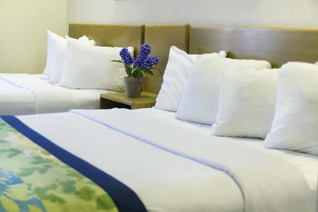 Hampton Inn & Suites-Asheville Biltmore Village, Nc Ngoại thất bức ảnh